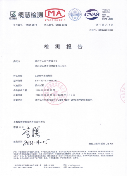 Inspection Report