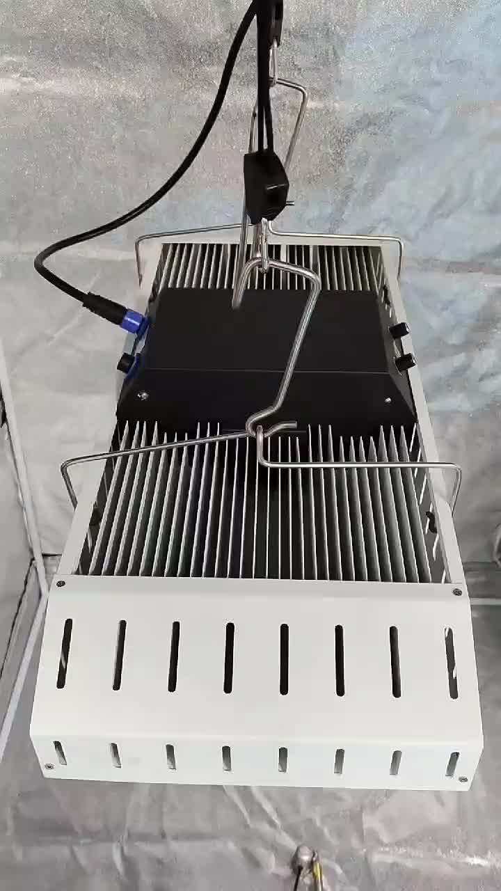 Fásann 800W faoi stiúir solas