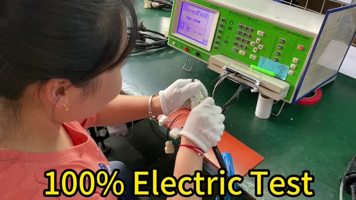 100% elektrischer Test