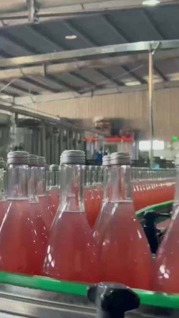 Filling Production Line Video