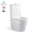 Australian Watermark Certified Back to Wall Toilet Suite 20571