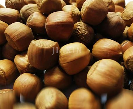Jiaxin Hazelnut International Trading Co., Ltd.