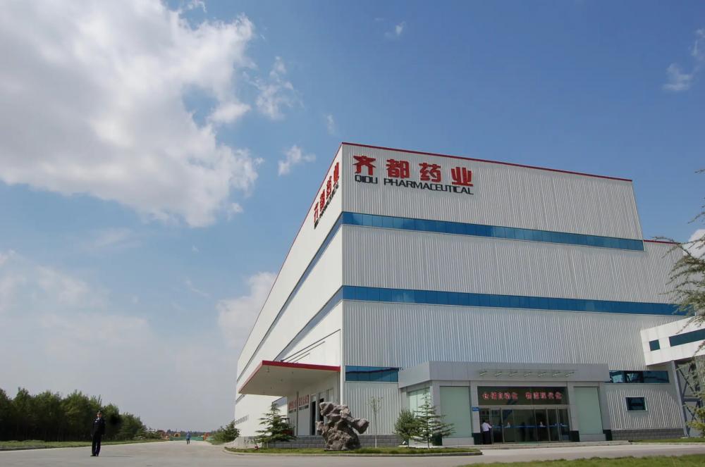 Shandong Qidu Pharmaceutical Co., Ltd.