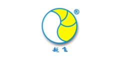 Hangzhou Feiyue Auto Parts Co., Ltd
