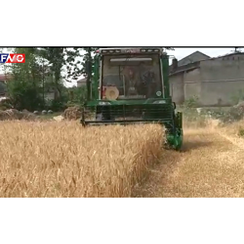 wheat harvester working video