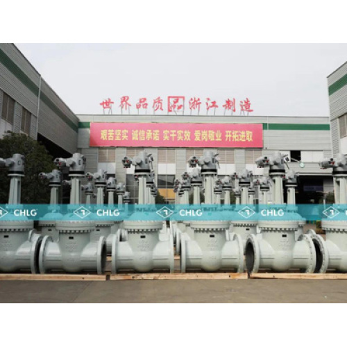 ¡La producción de Liangggong acelera de nuevo! Entrega eficiente del primer lote de productos de válvula de puerta para proyectos de ingeniería a gran escala