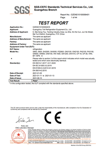 DSS_GZEM210100006401  SS test report