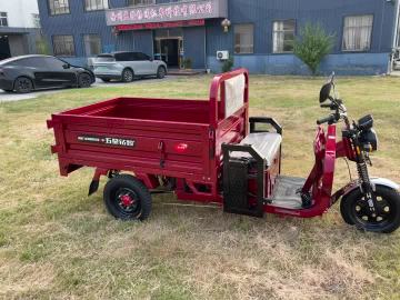 1.6 Self-dumping electric tricycle