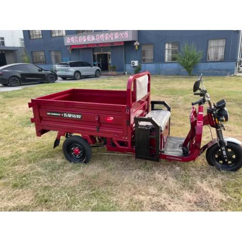 1.6 Triciclo eléctrico autocomplante