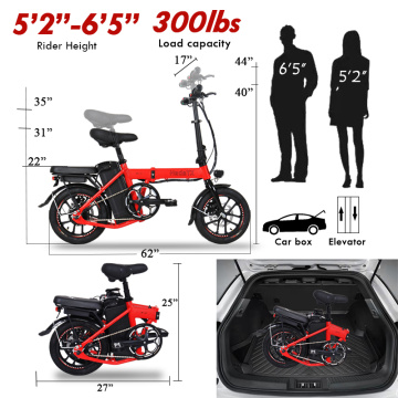 Top 10 China Electric Folding Bike Manufacturers