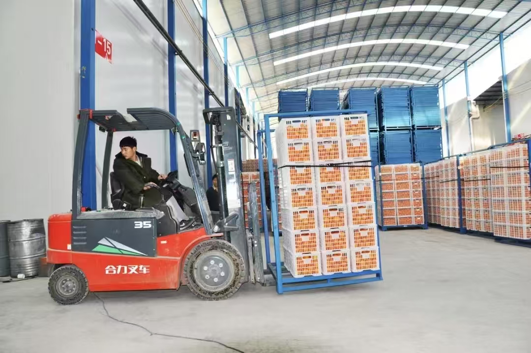 Yunnan YueTu Algriculture Development Limited Company