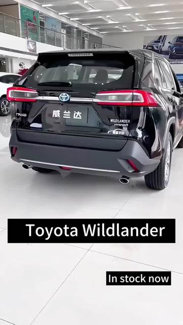 Toyota Wildlander Gasoline SUV