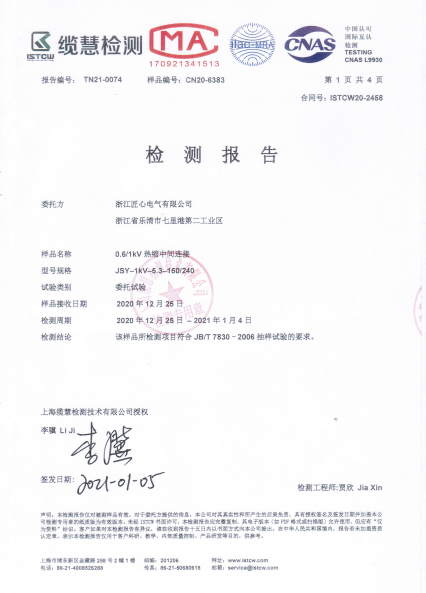 Inspection Report