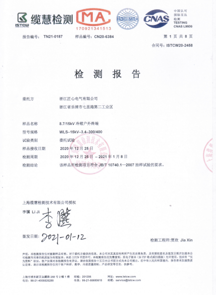 Inspection Report