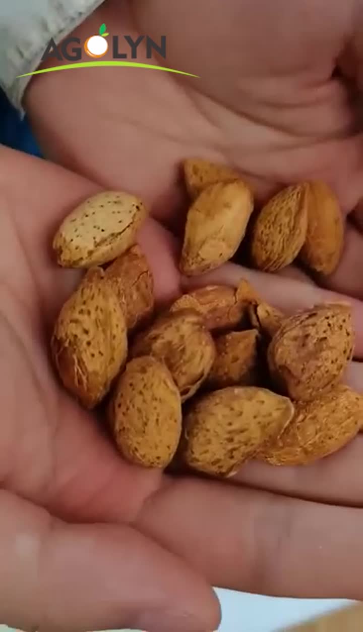 миндальные орехи