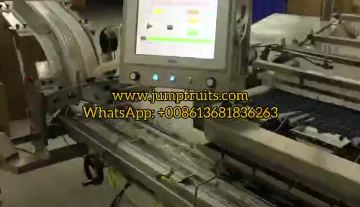 Blueberry Sorting Machine Grading Machine For Blueberry Plant