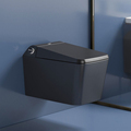 Intelligent Wall Hung Toilet Tank Hidden Matt Black1