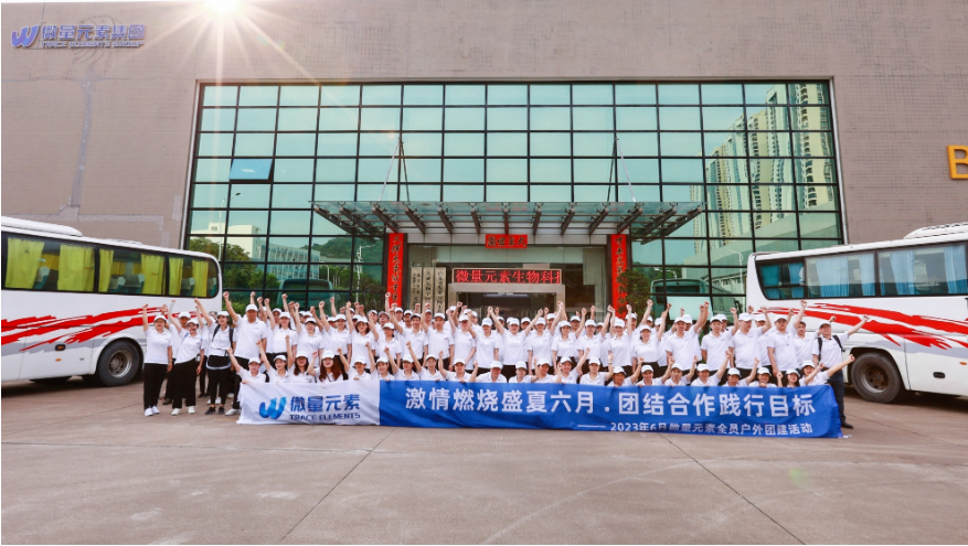 Company Team
