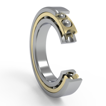 Rolling Bearings 2
