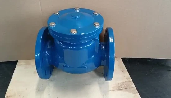 China Products/Suppliers. Pn16 Duction Cast Iron Body Flang Swing Check Valve1
