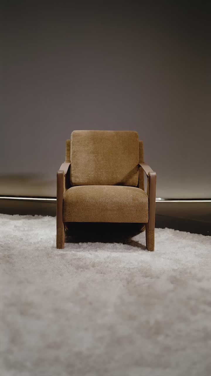 Silla de brazo de lujo