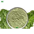 Gyártó ellátás Organic Kale Powder1