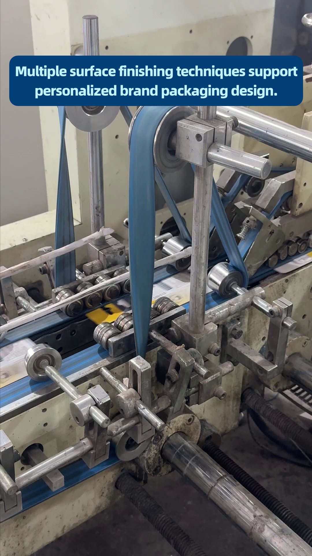Solutions complètes d'équipements d'emballage automatisés pour des lignes de production industrielles diversifiées