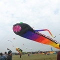 Huge Inflatable Animal Shark Kite from Weifang Professional Factory1