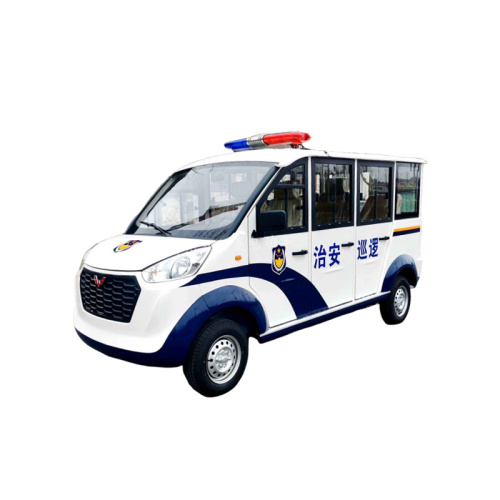 Why is the price difference of Electric Sightseeing Car so large?