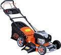 20 Inch Gas Lawn Mower and Self-Propelled Garden Machines1