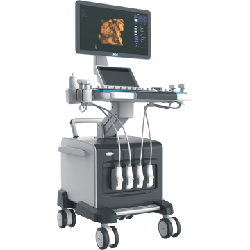 List of Top 10 Medical Ultrasound Instruments Brands Popular in European and American Countries