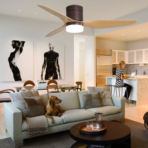 The advantages and disadvantages of living room ceiling fan light.
