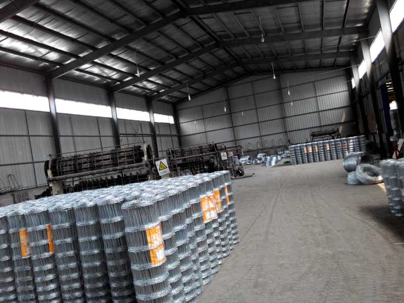 Shijiazhuang S D Company Ltd.
