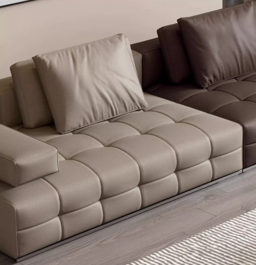 Leather sofa cleaning precautions--(Garlic with chicken hair)