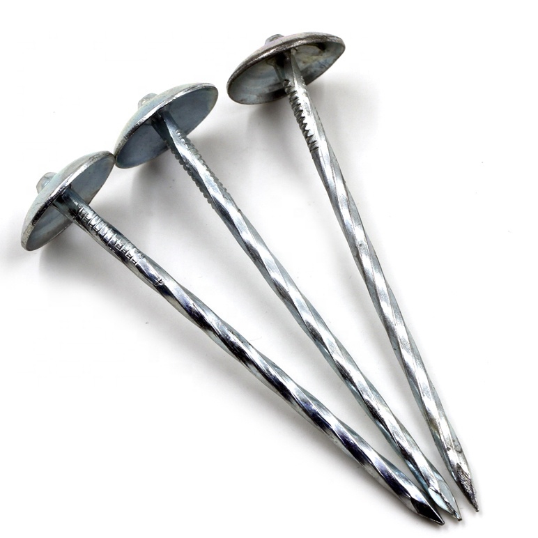 Glatte Schaftring -Schaft -Regenschirm Spiraldachnägel ISO zertifiziert Stahldachnagel1