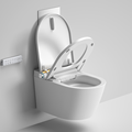 Intelligent Auto Flushing Smart WC for Pregnant Women1