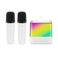 2023 Best Selling Mini Outdoor Portable Karaoke Speaker with Wireless Microphone and Dual LED Lights1