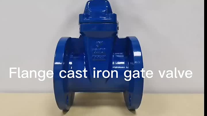 manual gate valve