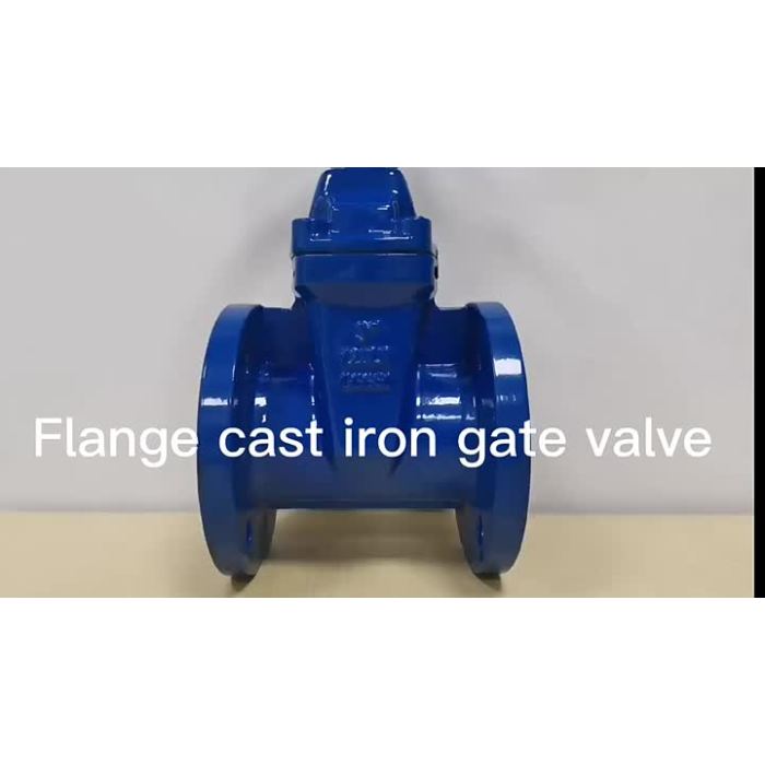 manual gate valve