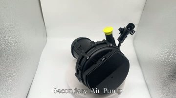 9216 Auto Secondary Air Injection Pump