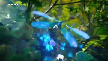 BOGO new products promotional video