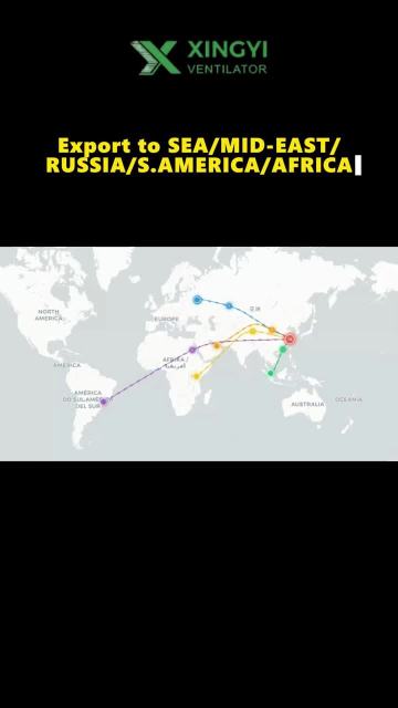 Engineered for Global Trade: Precision, Speed, and Reliability You Can Trust
