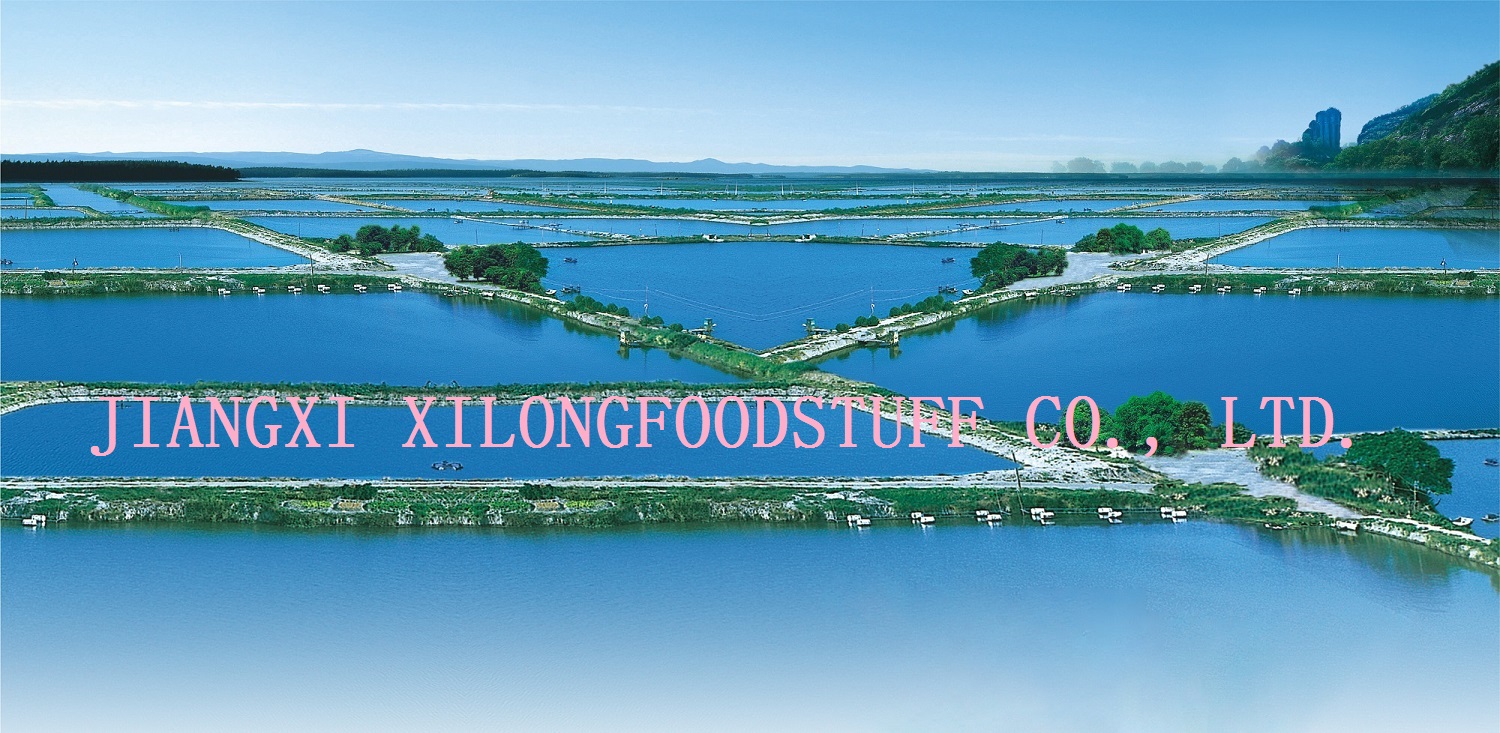 JIANGXI XILONG FOODSTUFF CO., LTD.