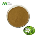 Bacopa Monnieri kivonat 5% bakosidok bacopa monnieri por extraktum11