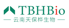 TBHBio: un fabricante confiable de extracto de frijol blanco para compradores B2B globales