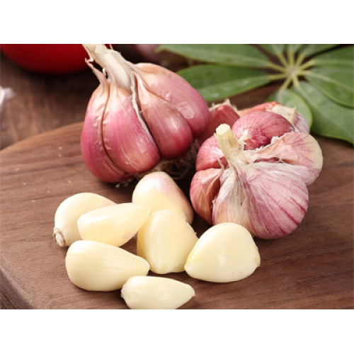 Küresel Sarımsak Endüstrisi: İstikrarlı Üretim, Değişen Ticaret Dinamikleri ve Katma Değerli Dönüşüm Pazar Evrimini Güçlendiriyor