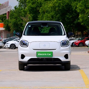 Ten Chinese Electric Used Car Suppliers Popular in European and American Countries