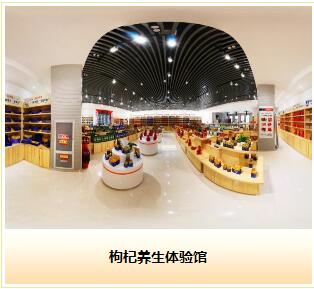 Ningxia Wolfberry Goji Industry Co.,ltd