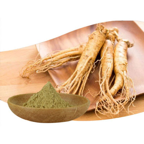 Ginseng Extract: Multi-Dimensional Health Benefits, Wide Applications & Expert Insights