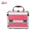 Customized Aluminum Alloy Makeup Train Case with Logo: Jewelry Box and Tool Storage1